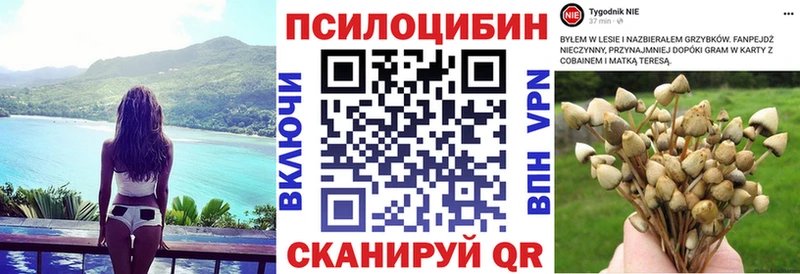 продажа наркотиков Куйбышев Галлюциногенные грибы мицелий